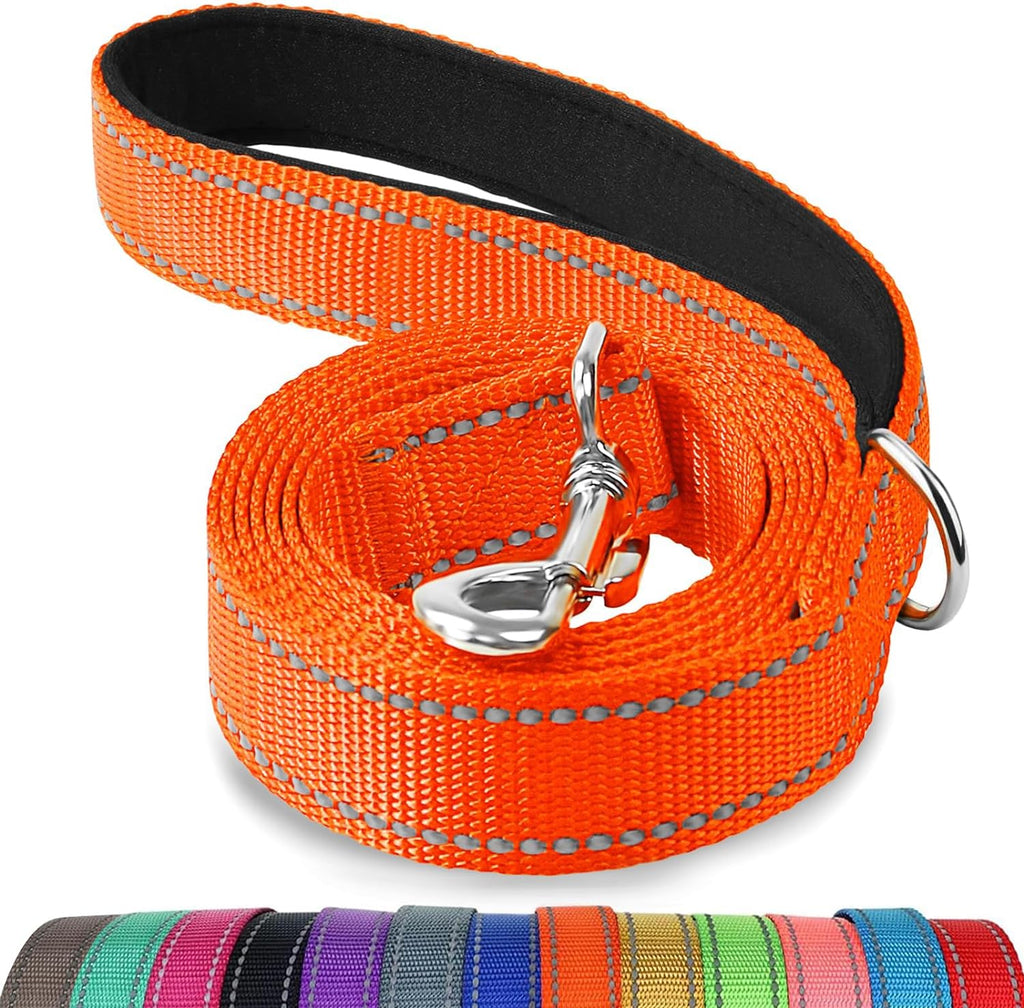 Reflective Dog Leash for Medium & Large Dogs, 5 FT X 1", Orange | Heavy Duty Nylon Webbing, Padded Handle for Comfort, Visible at Night, for Walking & Training