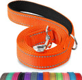 Reflective Dog Leash for Medium & Large Dogs, 5 FT X 1", Orange | Heavy Duty Nylon Webbing, Padded Handle for Comfort, Visible at Night, for Walking & Training