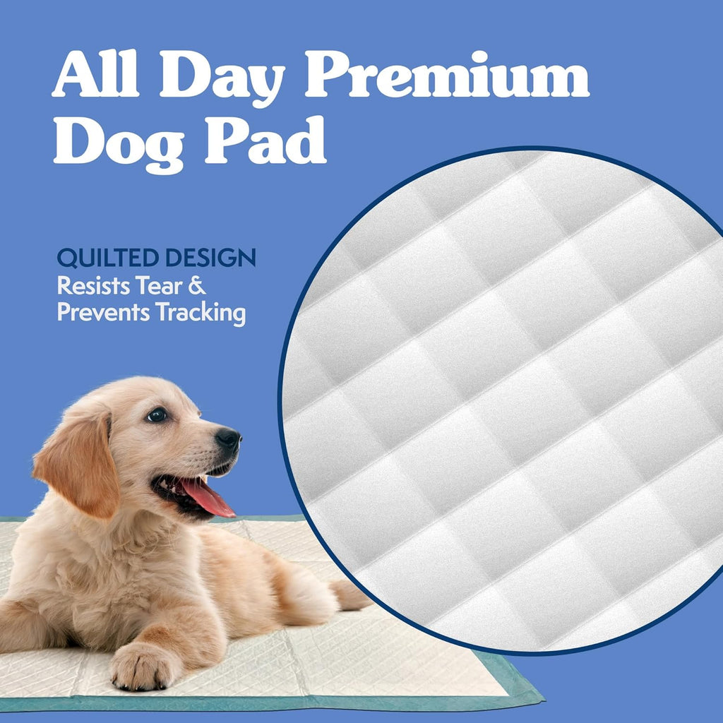 XL Pee Pads for Dogs, Leak Proof Dog Pads, 28X30, 100 Count | Dog Training Pads, Puppy Potty Training, Housebreaking, Disposable Pee Pads, Floor Protection, Indoor Potty, Puppy Essentials