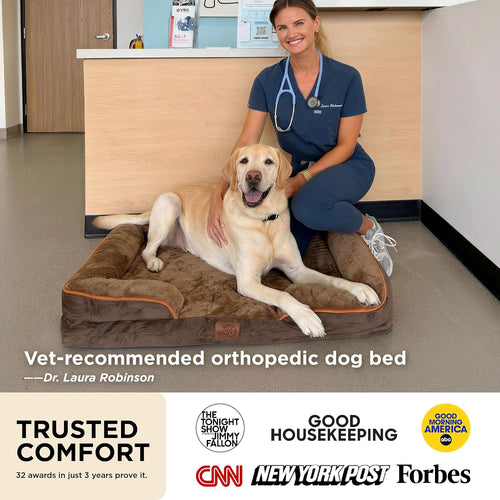 Bedsure Orthopedic Dog Beds Large Sized Dog with Removable Washable Cover | 35" Classic Big Dog Couch Sofa Waterproof, Comfy Bolster Sides, Nonslip Bottom, Cozy Pet Bed for Cats, Senior Dogs, Grey